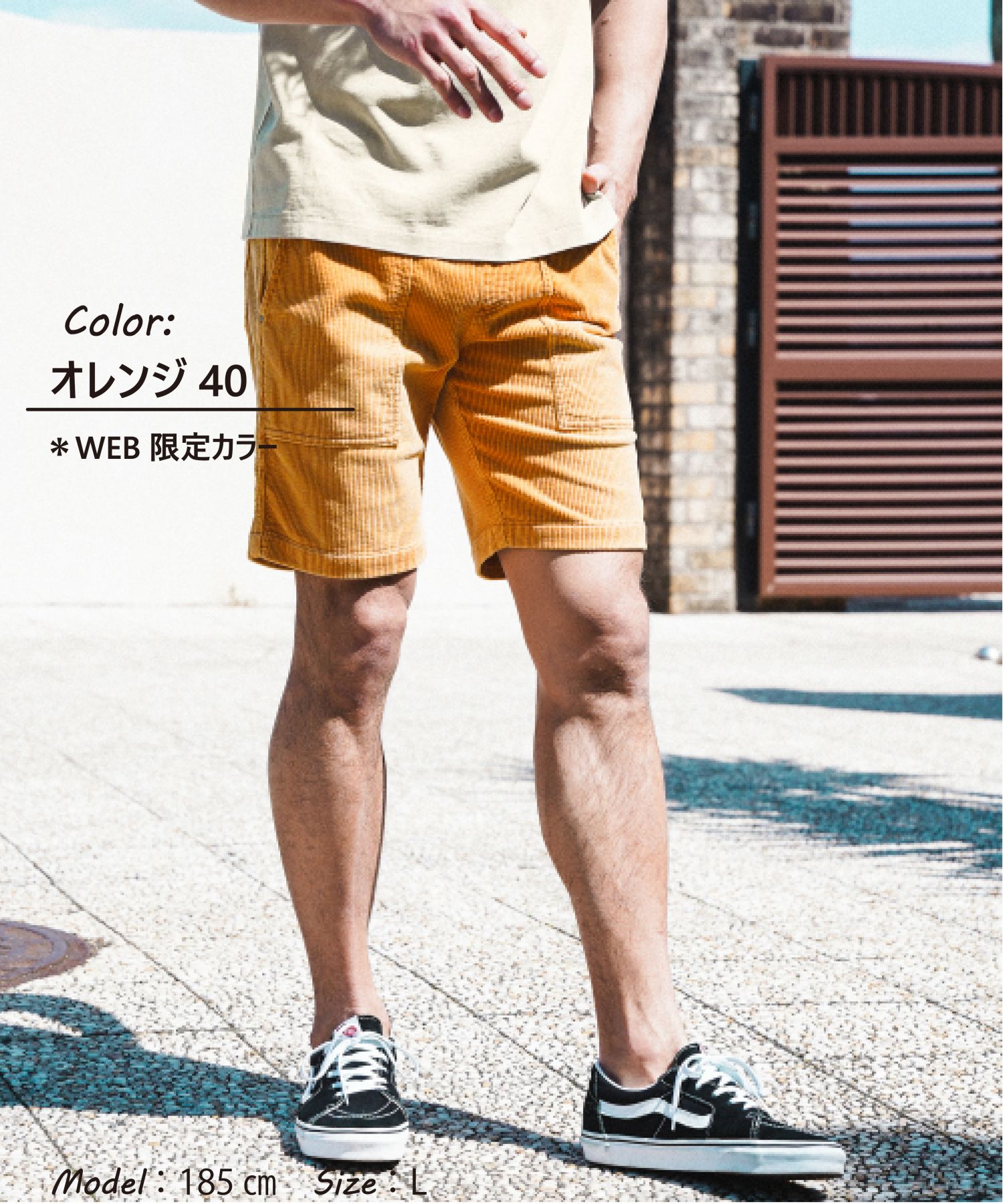 SALE BEST ITEM -for MEN- | [公式]ベイフロー（BAYFLOW）通販