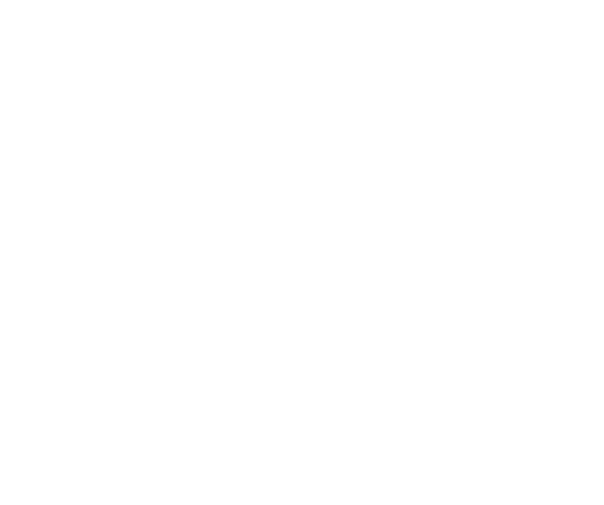 PARTNER WITH COLOR