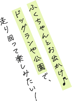 ふくちゃんとお出かけ♪ドッグランや公園で、走り回って楽しみたい！