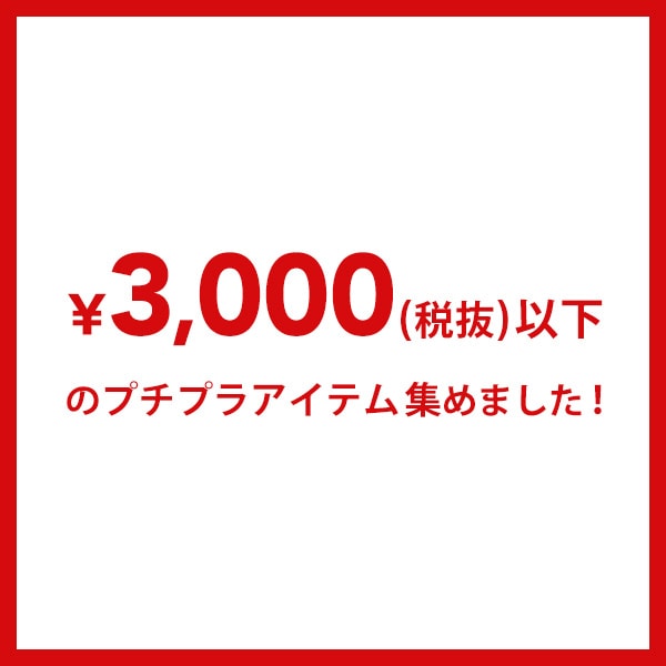 ３０００円以下