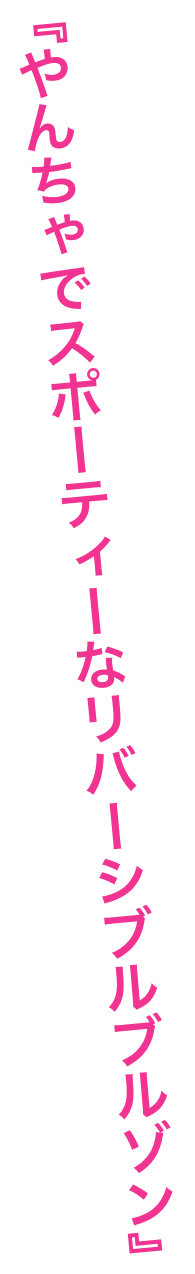 『やんちゃでスポーティーなリバーシブルブルゾン』