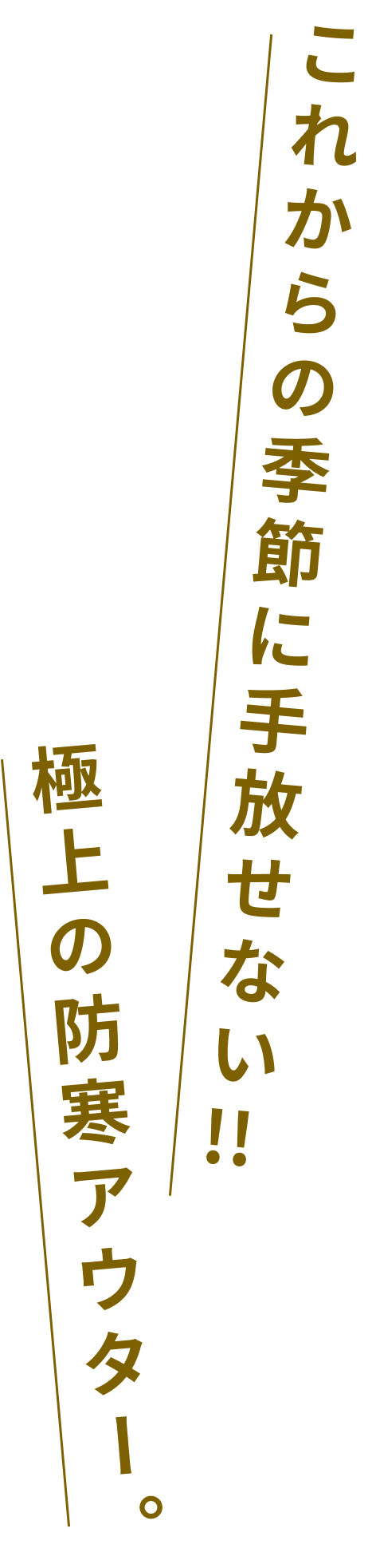 これからの季節に手放せない!!極上の防寒アウター。