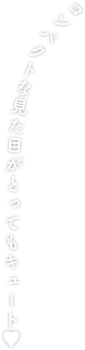 コンパクトな見た目がとってもキュート♡