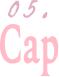 05 Cap_