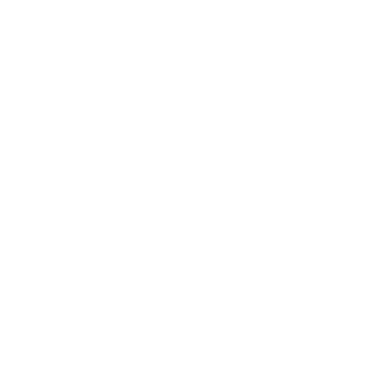 SPRING NEW ITEM